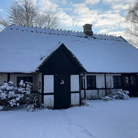 æbelnæs, Møn * Stege