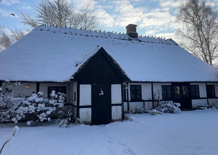 æbelnæs, Møn * Stege
